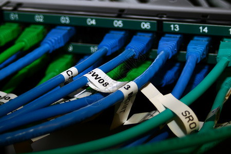 与开关连接的以太网电缆千兆服务局域网港口通讯数据中心防火墙基础设施线束绿色背景图片