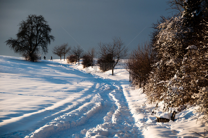 在粉雪中行走蓝色女士家庭父母寒意人行道太阳降雪树枝天气图片