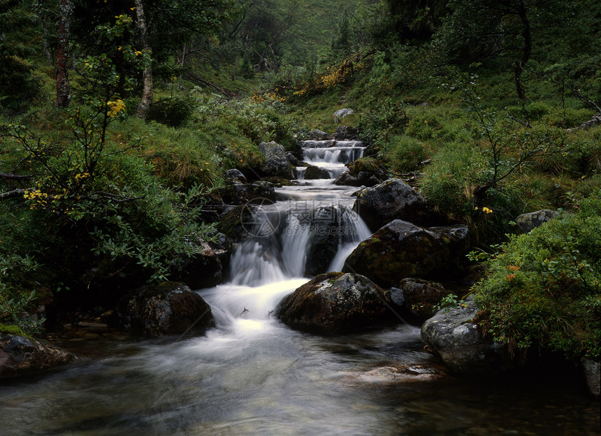 山山流运动旅行风景森林公园岩石环境荒野阳光石头图片