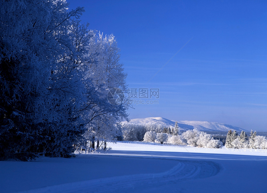 白雪和蓝天空风景天气木头天空墙纸季节阴影农村场景场地图片