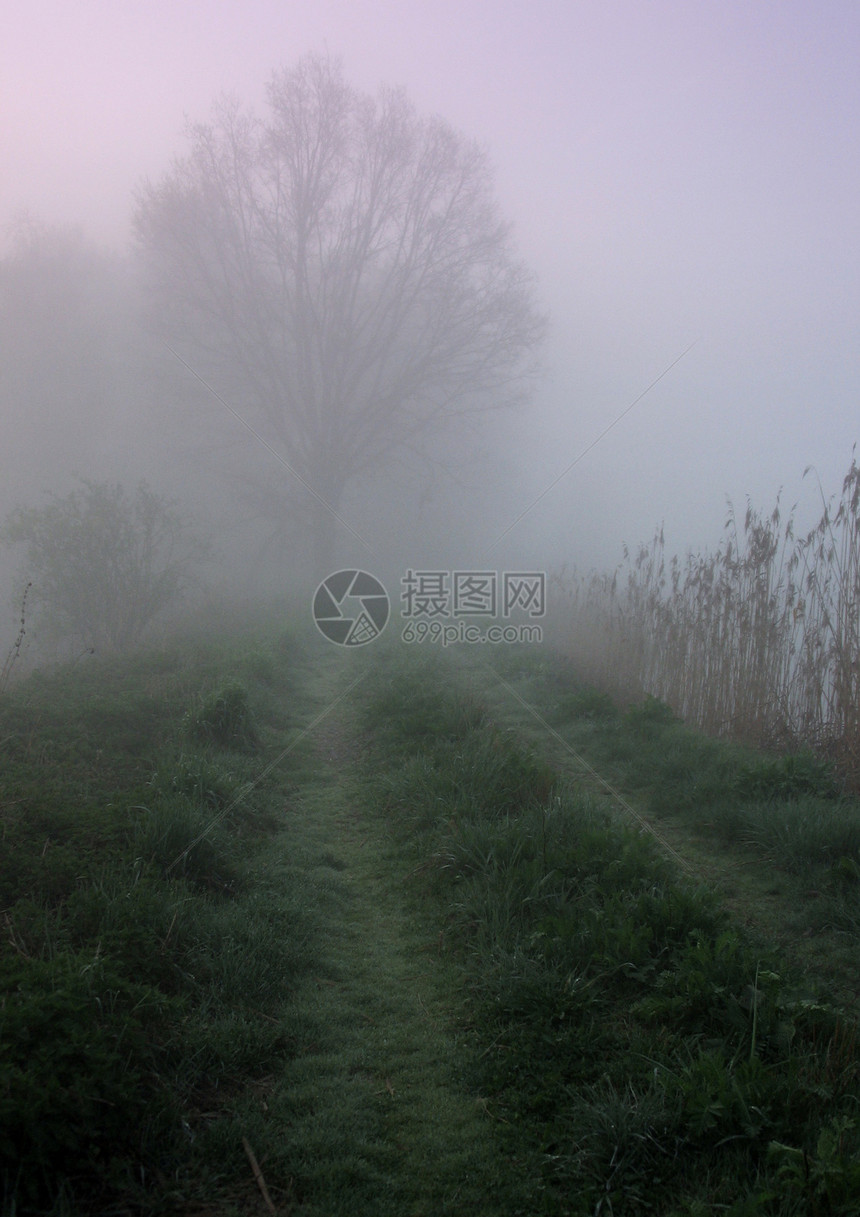 日出阳光气象天气田园风光光环图片