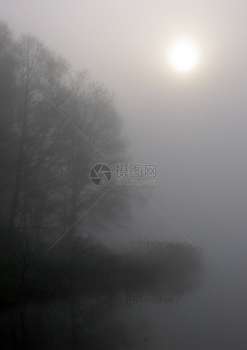 清晨风光气象天气阳光光环田园图片