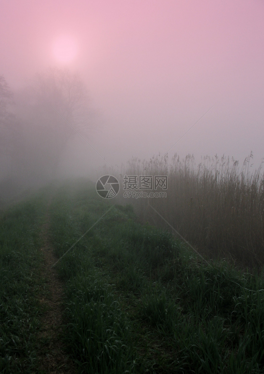 清晨天气气象阳光光环风光田园图片