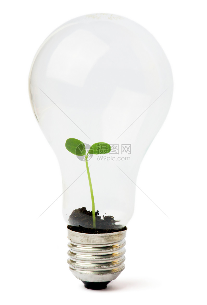 灯泡 里面生长植物发明概念行星生态解决方案环境资源光合作用地球技术图片