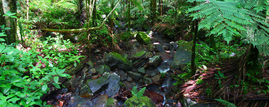 El Yunuque国家森林天堂栖息地里科敬畏全景假期岩石热带石头植被图片