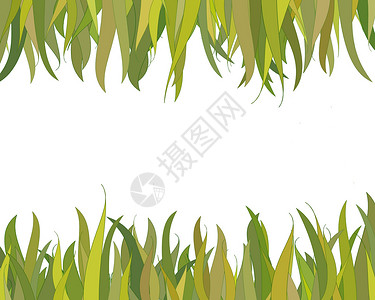 绿色边界插图夹子漫画草地绘画框架花园植物背景图片