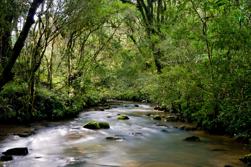 热带河流流动环境娱乐旅行木头植物荒野风景岩石季节图片