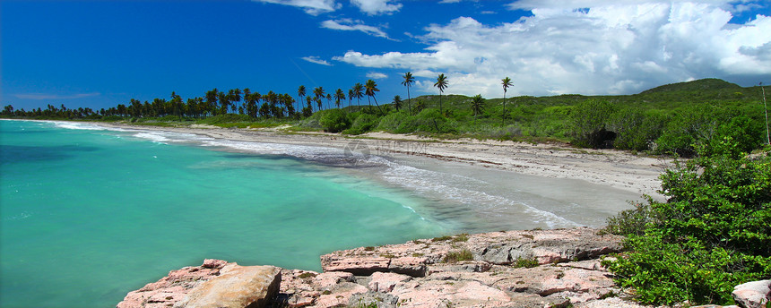 Guanica海滩波多黎各冲浪生态旅游天堂假期海洋全景里科公园晴天森林图片