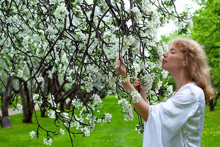 白娘子和白花树林精灵小精灵公主故事白色苹果树女士传奇花园背景图片