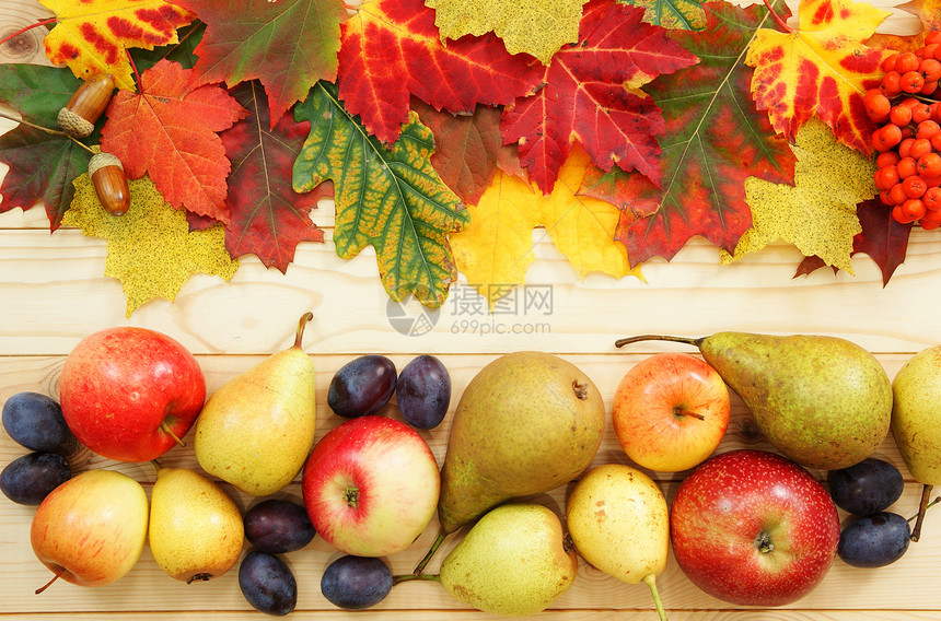 果实和叶子李子桌子染色植物食物图片