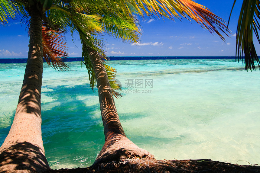 马尔代夫的热带天堂假期阳光海岸线蓝色天空棕榈植物海浪海景风景图片