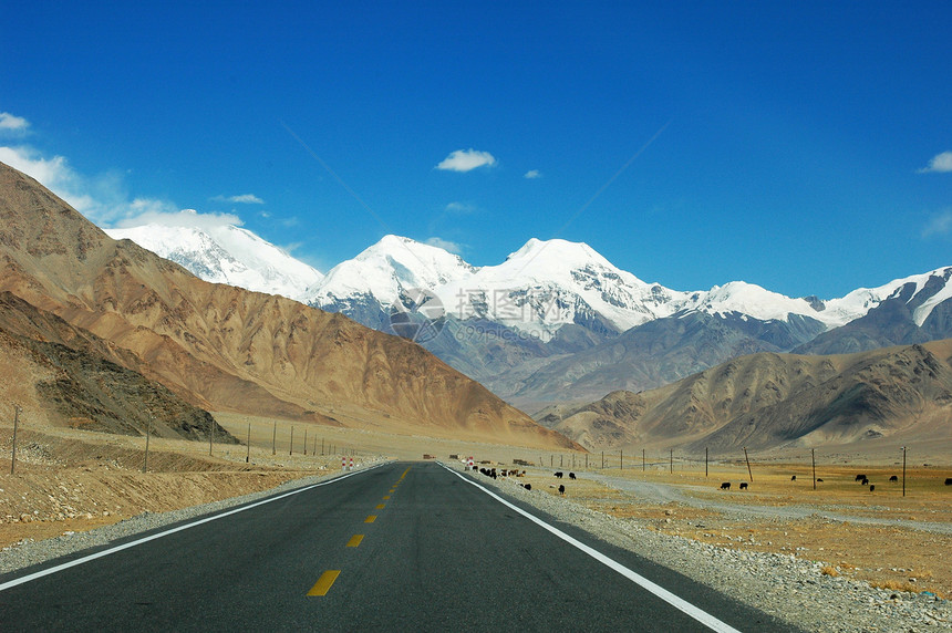 通向雪山的高速公路蓝色风景旅行季节顶峰黄色场景交通天气天空图片