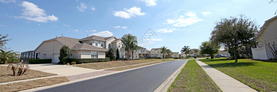 佛罗里达州外观手掌财产树木小路街道背景图片