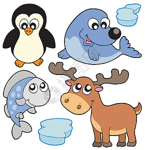 企鹅与海豹可爱的冬季插图插画