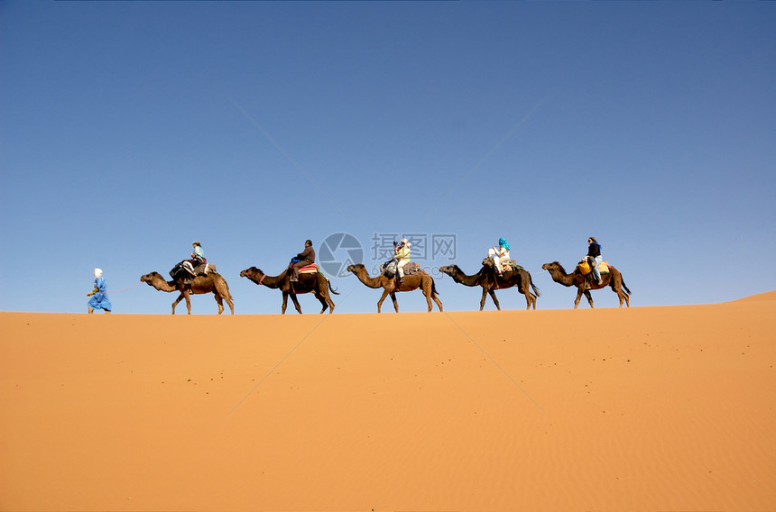 沙漠大篷车骆驼单峰游客沙丘运输骆驼夫旅行旅游晴天图片