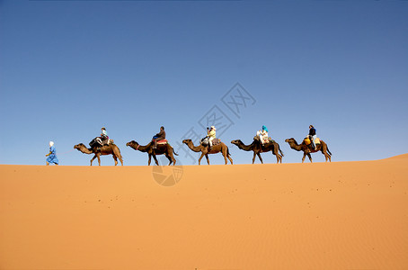 沙漠大篷车骆驼单峰游客沙丘运输骆驼夫旅行旅游晴天背景图片