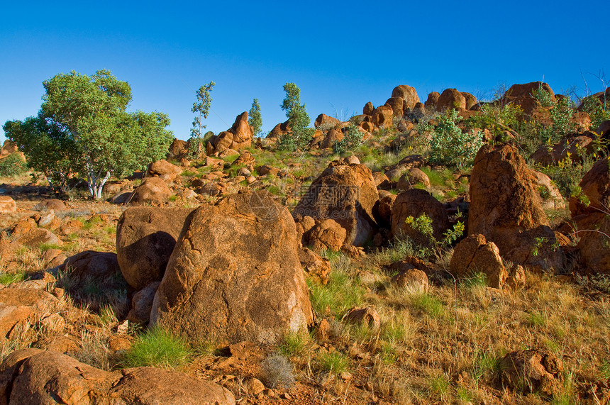 澳洲地貌岩石国家沙漠领土植被风景场地旅行衬套乡村图片