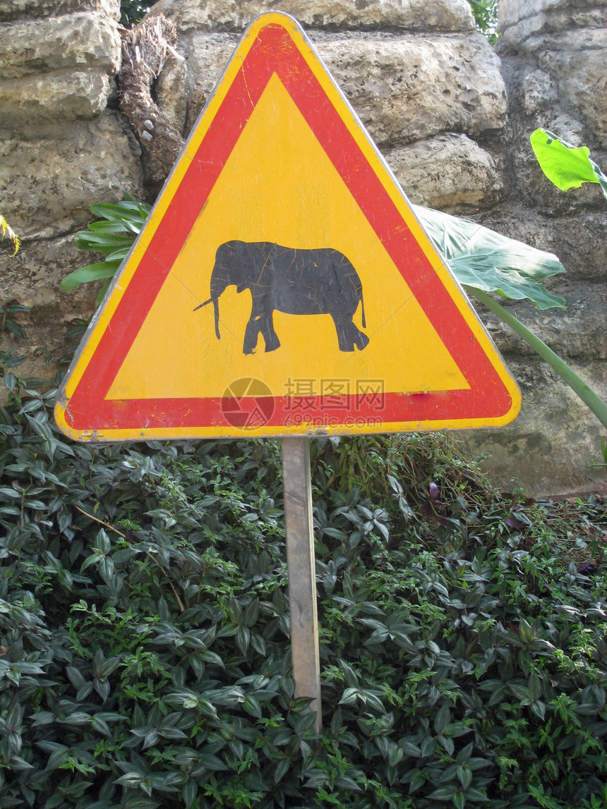 大象交叉口的交通标志图片