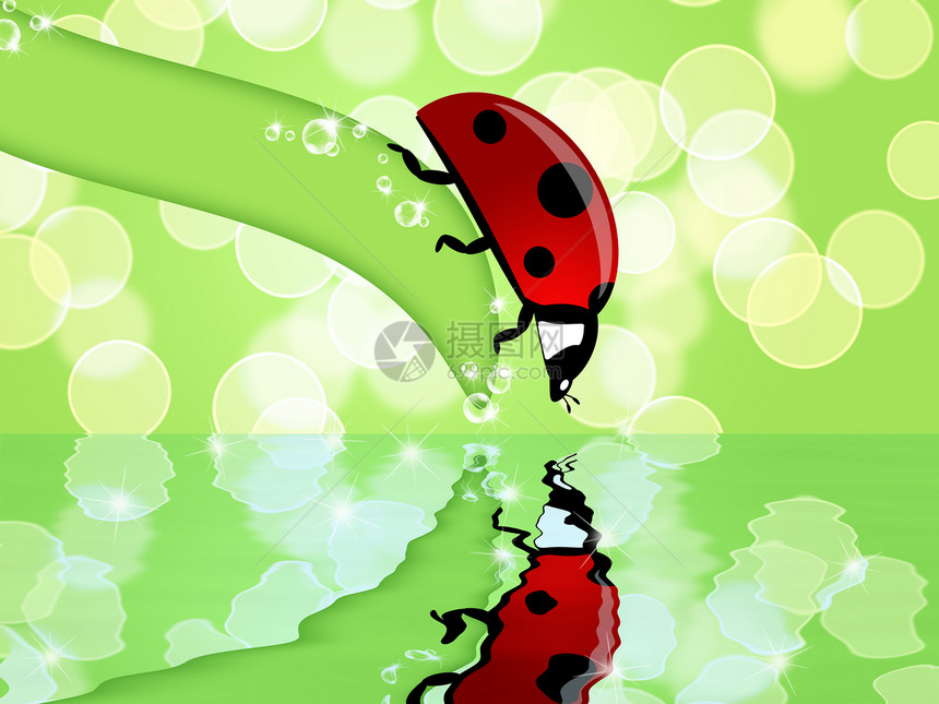 在叶子上的Ladybug 查看水反射图片