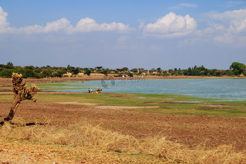 埃塞俄比亚水场地土地树木农村天空绿色黄色晴天图片