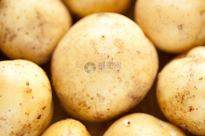 土豆贴近商业蔬菜生长蛴螬游乐场院子马铃薯畜牧业花园食物图片