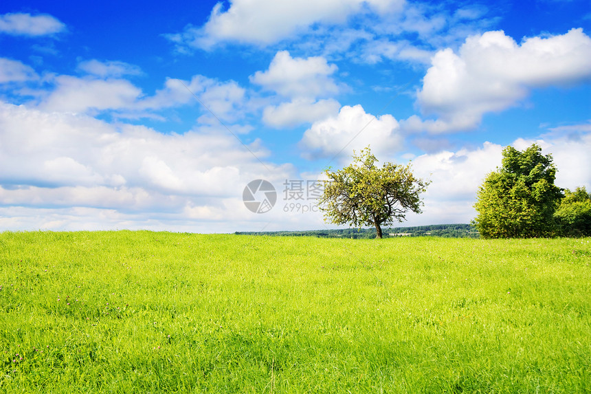 夏季风景爬坡美化天空场地环境季节寂寞场景孤独牧场图片