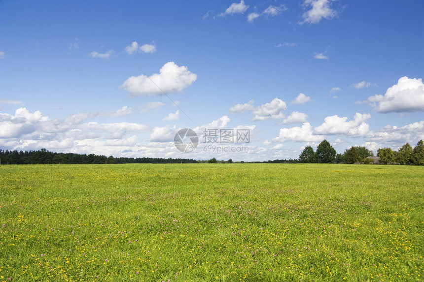 夏季风景场地孤独季节蓝色农业自由环境公园美化叶子图片