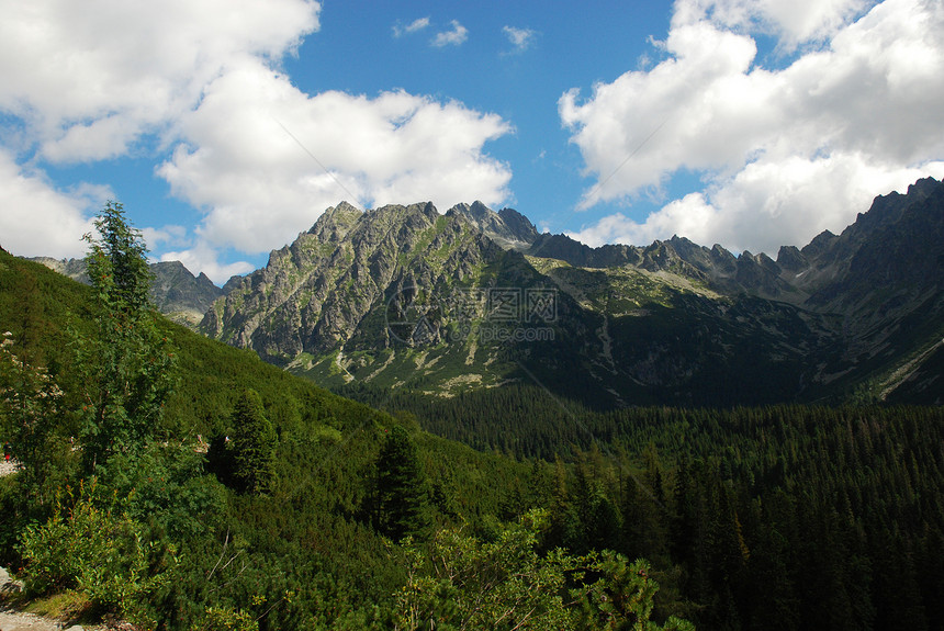 塔塔山草地海拔树木绿色场景冒险蓝色顶峰热情山峰图片