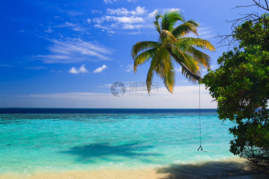 马尔代夫的热带天堂阳光棕榈地平线植物旅行天空风景旅游海岸线蓝色图片