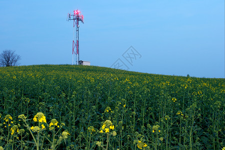 转发器手机草地农村播送桅杆技术框架网络细胞收音机高清图片