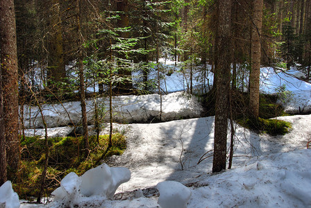 2007年意大利多洛米特阿尔卑斯山冬山地享受天堂假期滑雪者娱乐桌面森林天空山脉图片