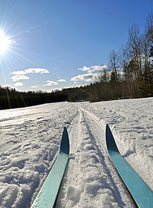 跨国滑雪活动滑雪板训练锻炼晴天射线运动森林太阳健康背景图片