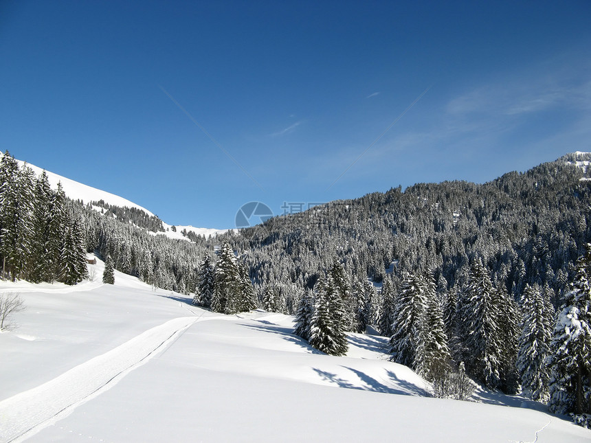 阿尔卑斯山的冬季图片