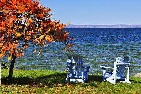阿芬迪斯秋湖上的木椅子背景