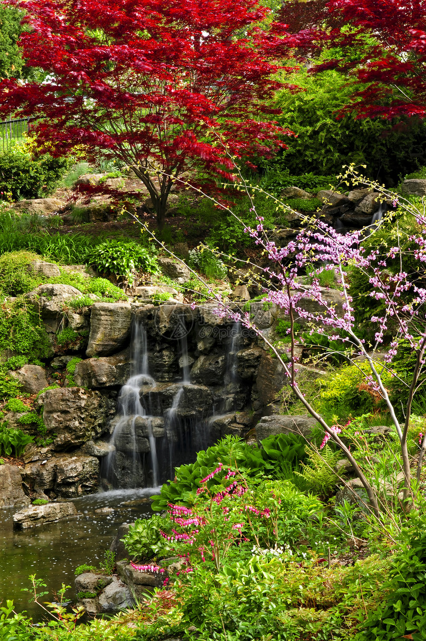 连带瀑布美化风景园林放松岩石公园花朵池塘石头植物图片