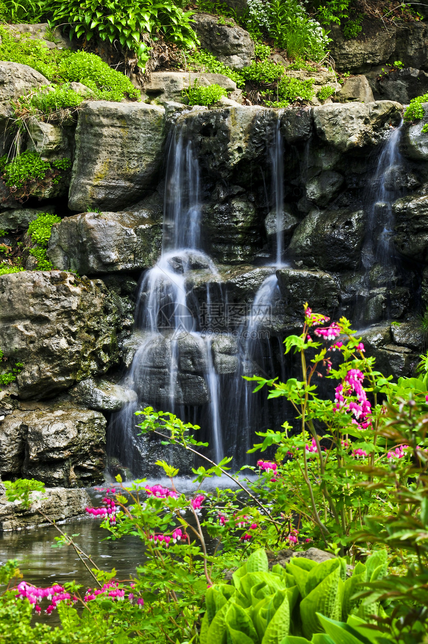 连带瀑布美化风景植物放松园林岩石绿化花园花朵石头图片