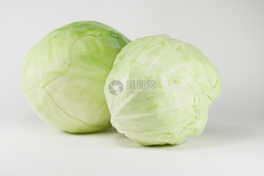 绿色卷心菜白色食物叶子蔬菜图片