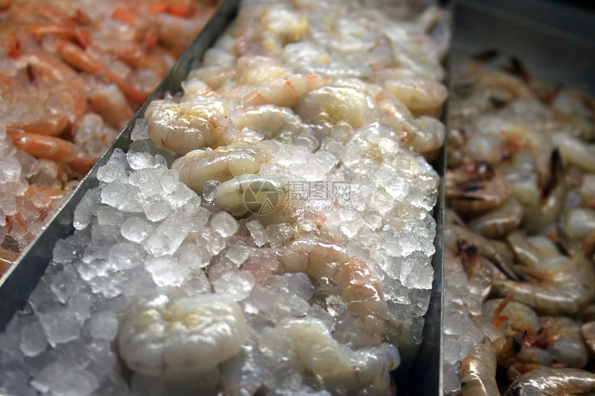 虾店铺对虾食物美食贝类杂货店市场海鲜柜台团体图片