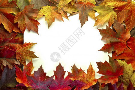 淡叶混合瀑布颜色边界背景图片