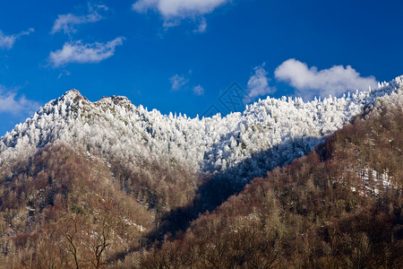 勒孔特雪中的辣椒顶部全景树木场景乡村山脉烟囱季节蓝色磨砂风景背景