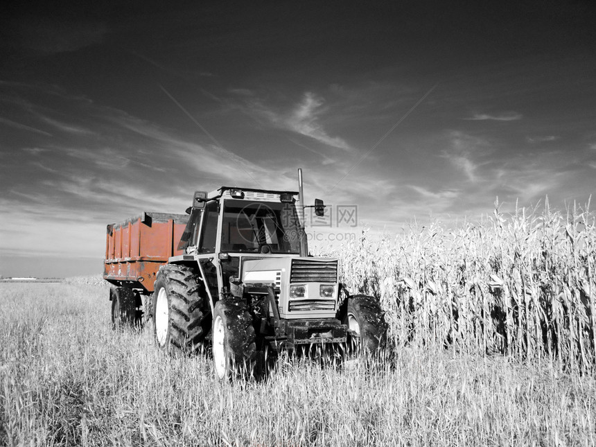 红外拖拉机场地种植园环境车辆农村机械白色生长农场收成图片