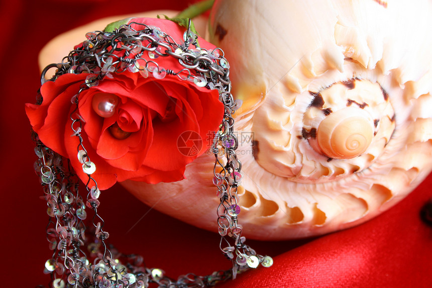 红玫瑰珍珠珠饰细绳项链珠子首饰贝壳手镯红色玫瑰配件图片