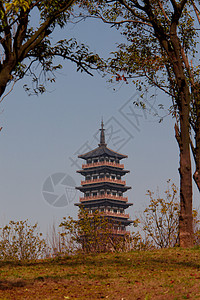 黄金色花园幼崽公园背景图片