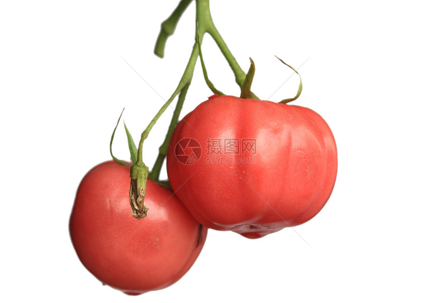 作物 食物 番茄图片