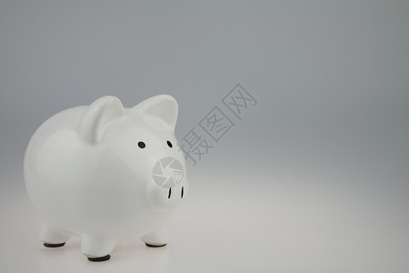 白猪银行金融财政摄影空格处白色水平储蓄金钱背景图片