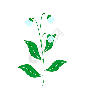 白百合季节说明山谷的Lily夹子墙纸植物花瓣绘画百合叶子园艺亲热宏观设计图片