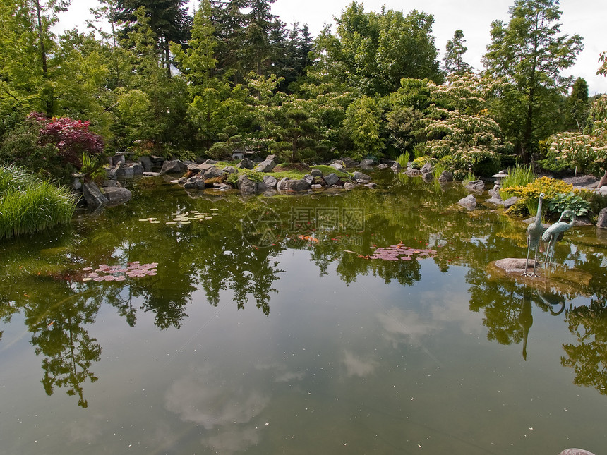 美丽的古典花园鱼湖池塘住宅百合长椅场景睡莲奢华植物院子瀑布石头图片