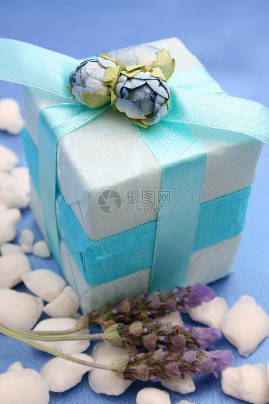 Soapy 礼品蕾丝浴室植物群玫瑰蓝色家庭绿色白色紫色水晶图片