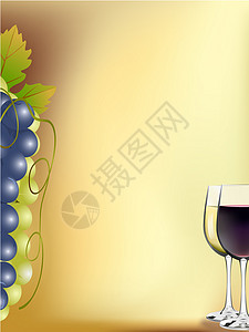 葡萄酒卡邀请函酒杯插图酒卡卡片白色水果酒精藤蔓白酒背景图片
