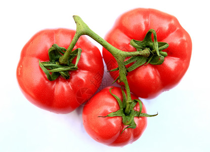 食物 蔬菜 番茄水果文章专题营养红色背景图片